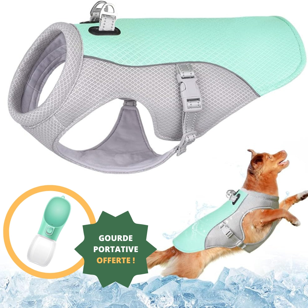 Harnais rafraîchissant pour chien | CoolDog™