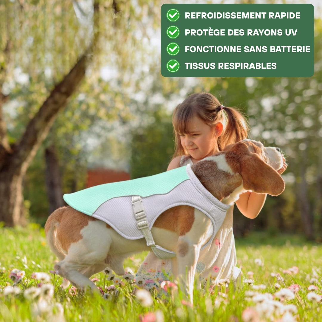 Harnais rafraîchissant pour chien | CoolDog™