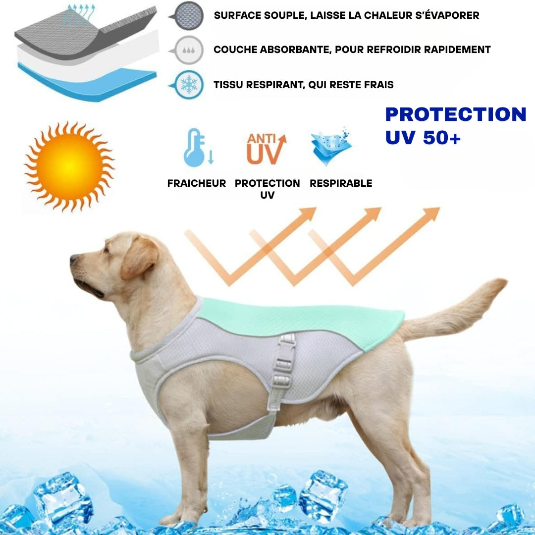 Harnais rafraîchissant pour chien | CoolDog™
