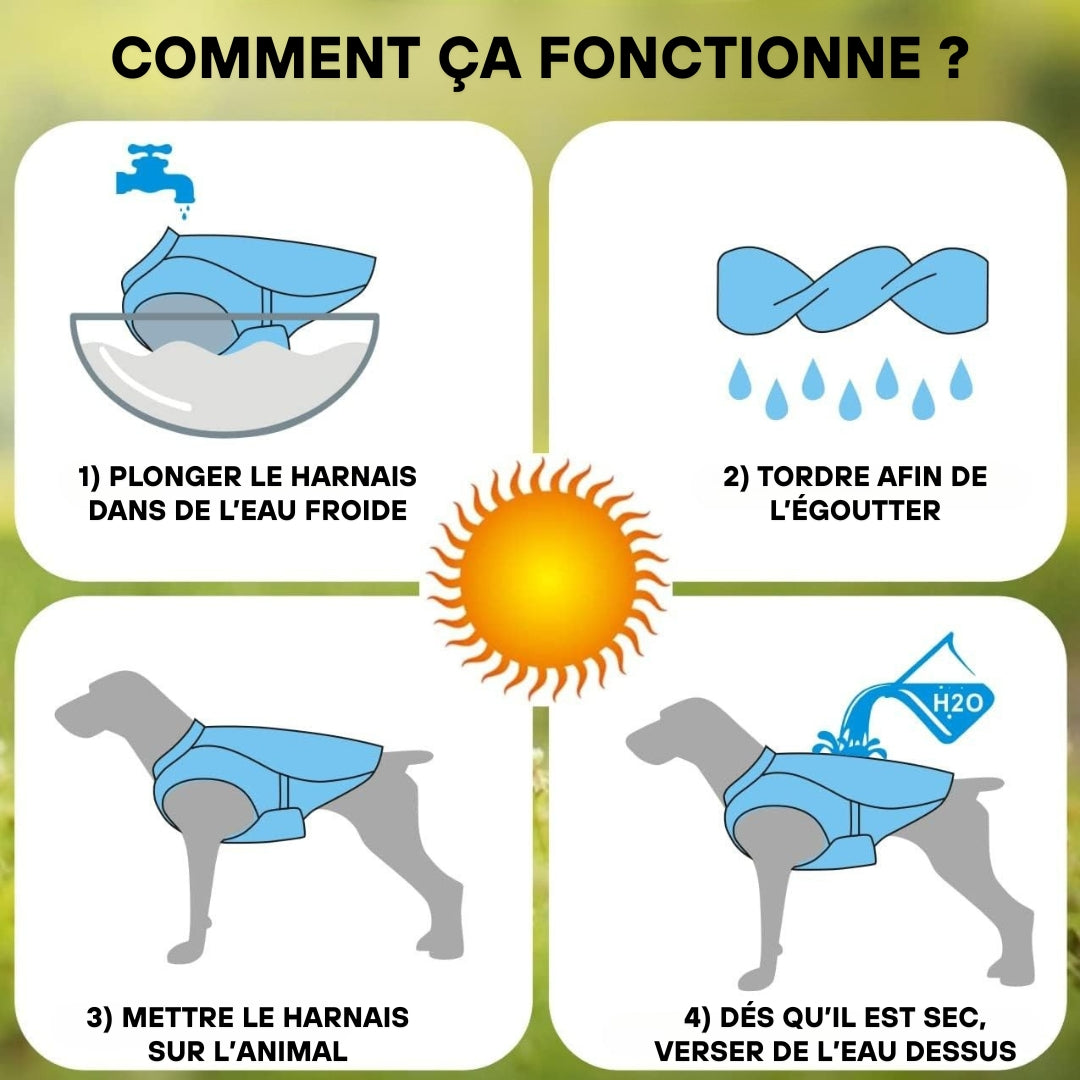 Harnais rafraîchissant pour chien | CoolDog™
