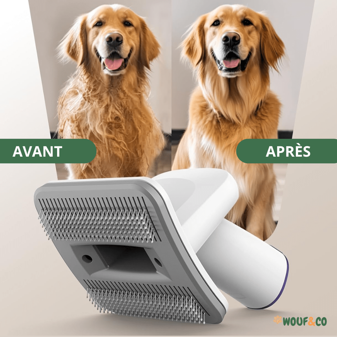 Fluffy One™ | Aspirateur pour Chiens & Chats avec tondeuse, brosse et 5 accessoires de toilettage
