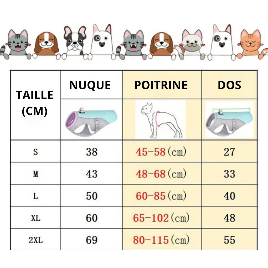 Harnais rafraîchissant pour chien | CoolDog™
