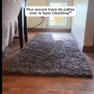 Tapis Absorbant CleanDog™