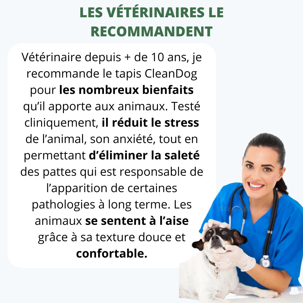 Tapis Absorbant CleanDog™