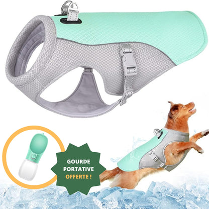 Harnais rafraîchissant pour chien | CoolDog™