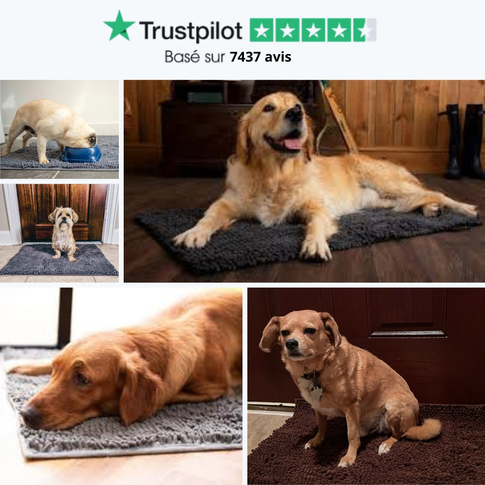 Tapis Absorbant CleanDog™