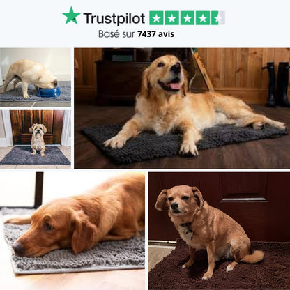 Tapis Absorbant CleanDog™