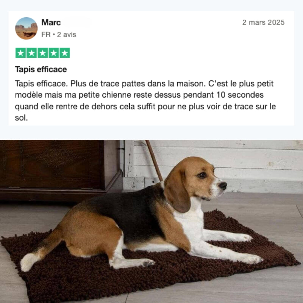 Tapis Absorbant CleanDog™