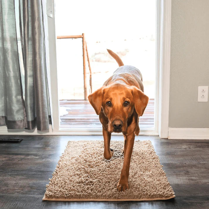 Tapis Absorbant CleanDog™
