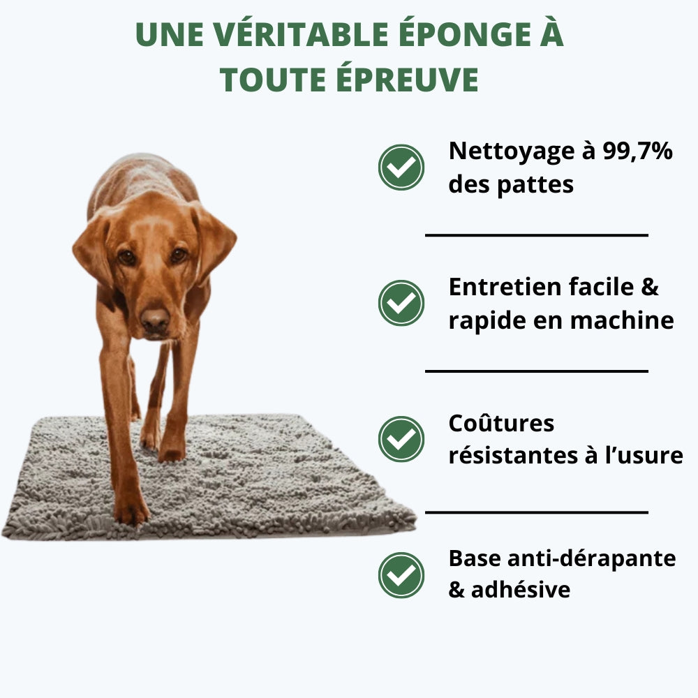 Tapis Absorbant CleanDog™